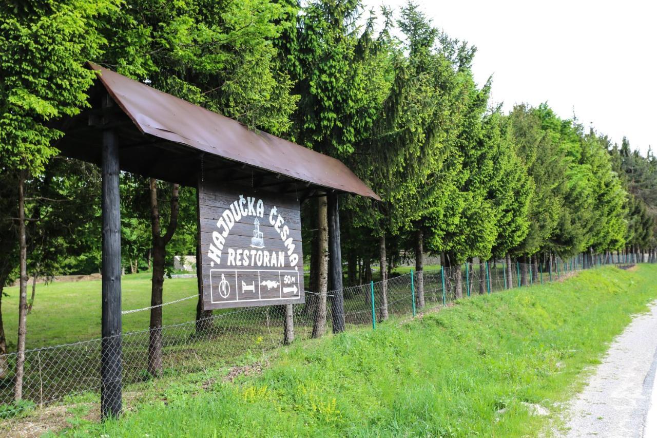 Holiday park Hajducka cesma Dubovsko Zewnętrze zdjęcie